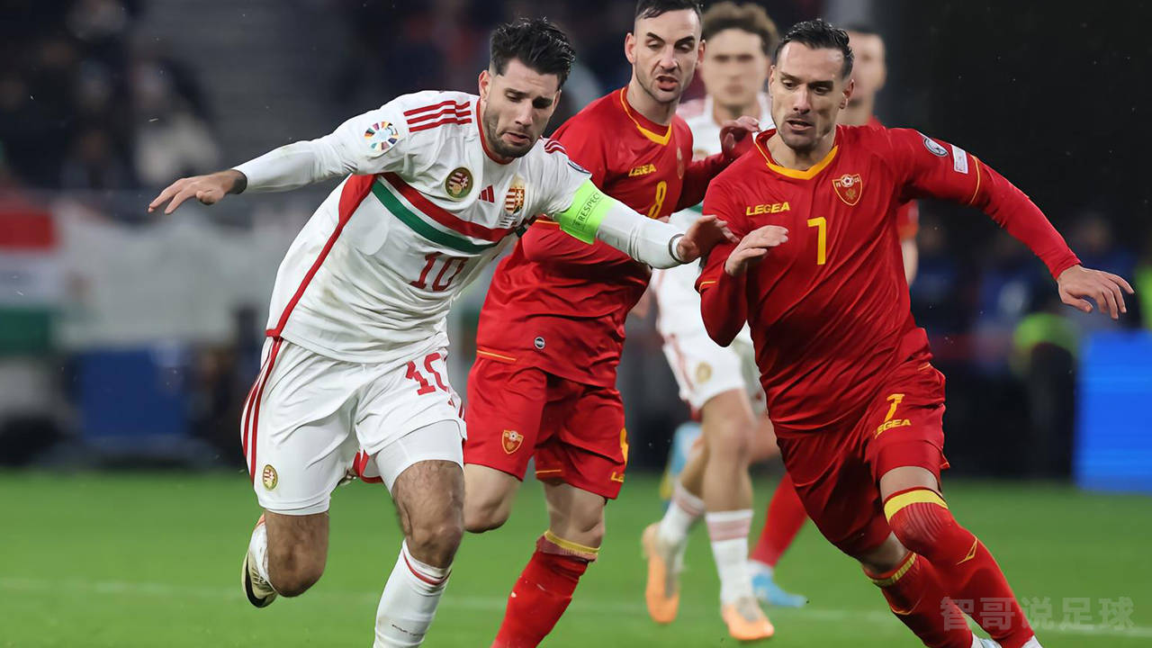 瑞士球员在国际比赛中取得胜利